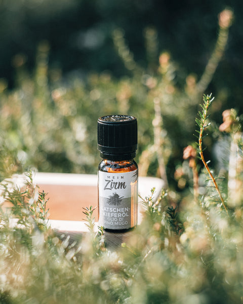Olio essenziale di pino mugo
