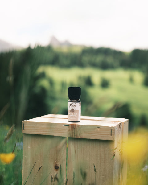 Olio essenziale di pino mugo