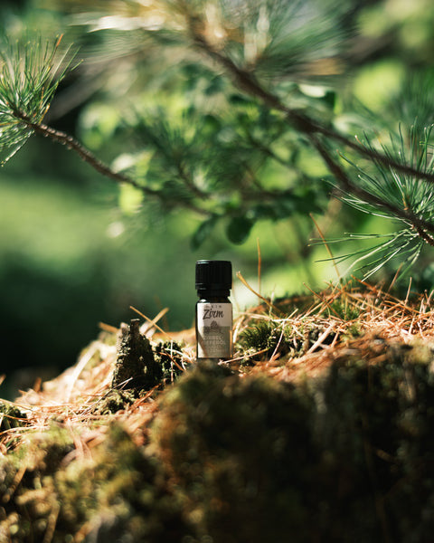 Olio essenziale di cirmolo